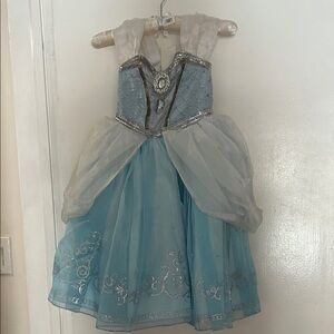Blue and Silver Kids Princess Costume